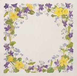 Carré de primevères et violettes